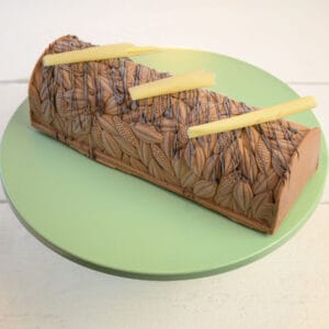 Boomstam | chocolade